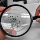 Image for article titled The Seafloor Is Absolutely Littered in Microplastic